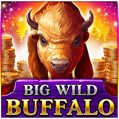 n1 casino game
